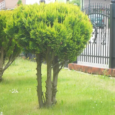 Goscinne Wiola בית אירוח Władysławowo