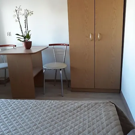 Goscinne Wiola Проживание в семье *