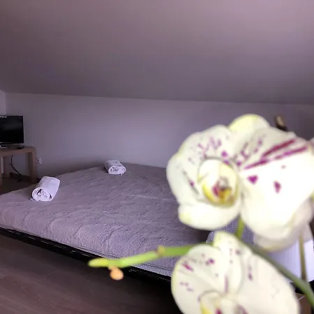 Gościnne Wiola Władysławowo