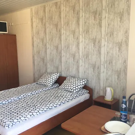 Goscinne Wiola Проживание в семье Владыславово