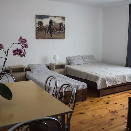 Goscinne Wiola בית אירוח