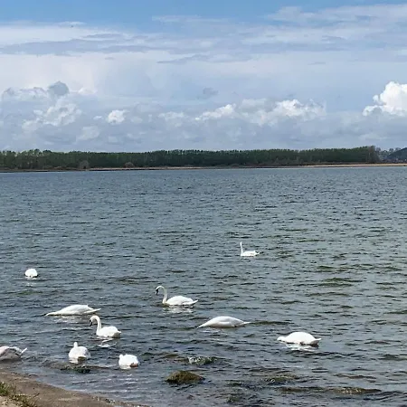 בית אירוח Goscinne Wiola *