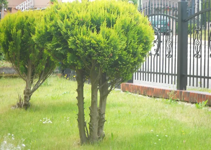 Goscinne Wiola Rum i privatbostad Władysławowo