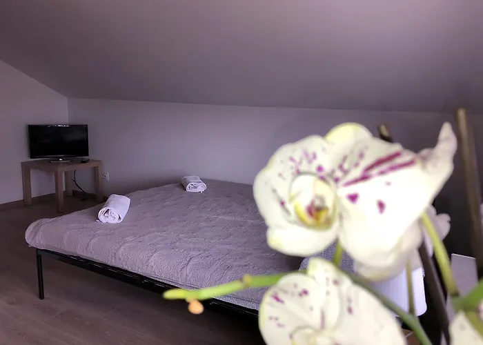 Goscinne Wiola Władysławowo