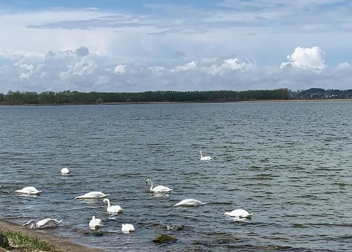 Rum i privatbostad Goscinne Wiola *