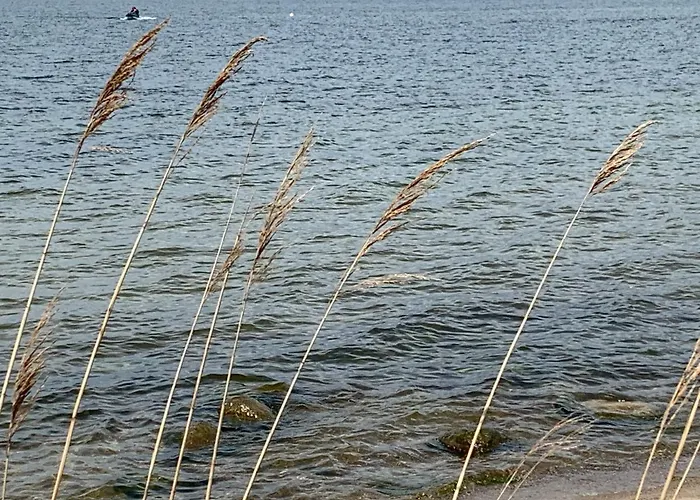 Goscinne Wiola * Władysławowo